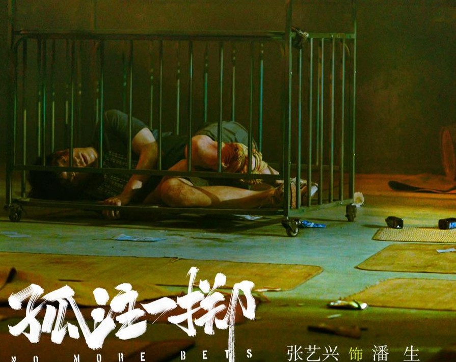 同样聚焦网络诈骗 周冬雨章宇主演的《鹦鹉杀》为何没大爆(图5)