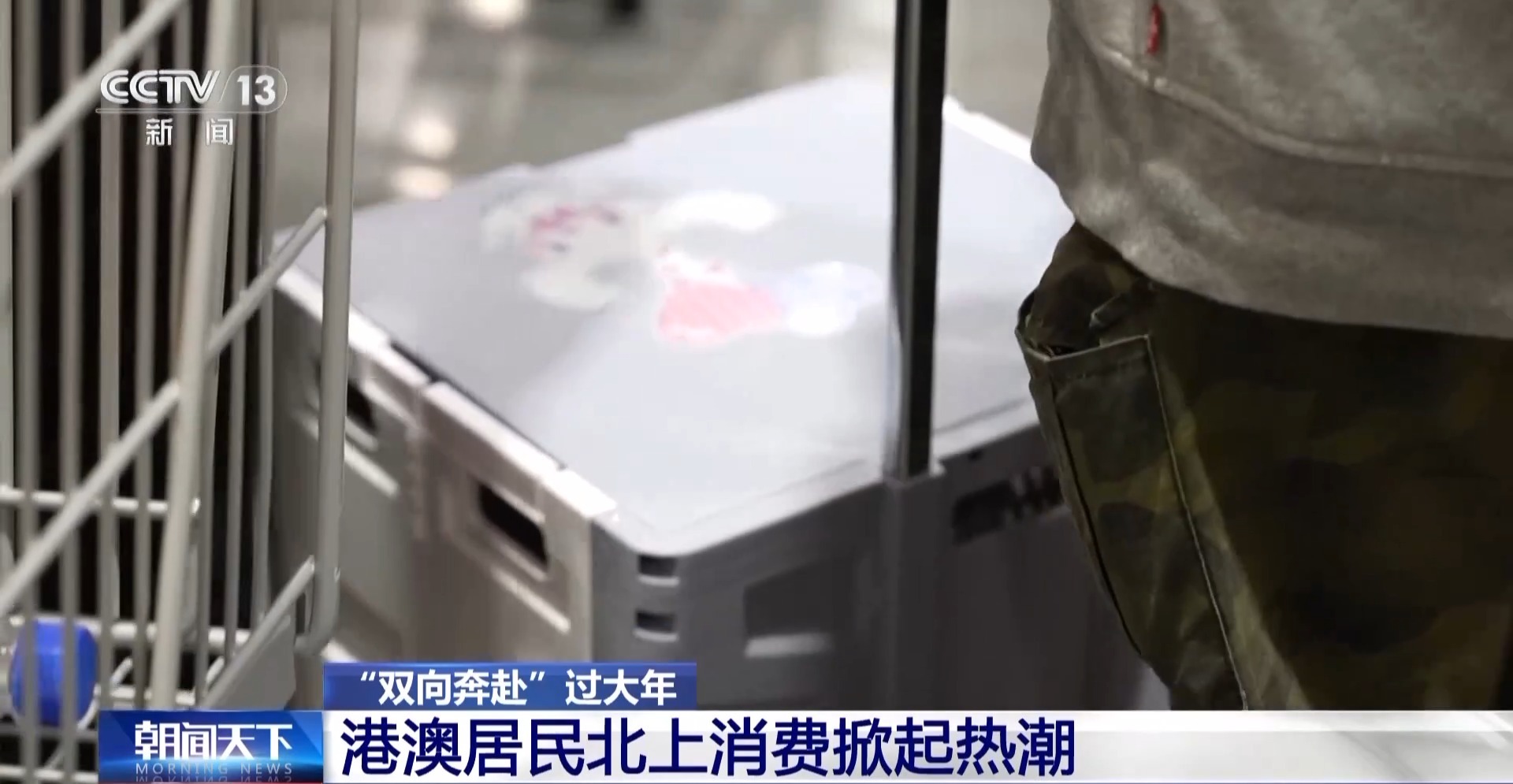 港澳居民北上购年货 跟记者走进大湾区“一小时生活圈”(图2)
