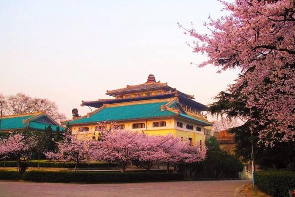 2024武大樱花预约官网地址、门票及开放时间介绍