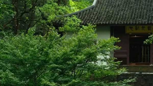 玉玲珑：新绿