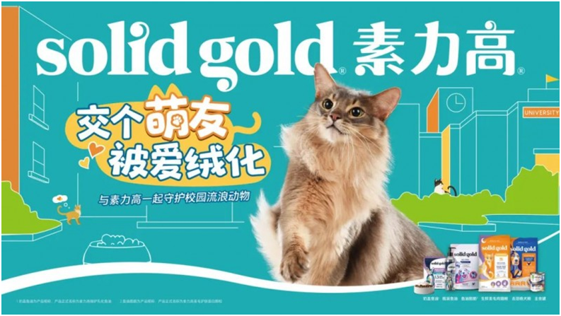 Solid Gold素力高携手西安交通大学仙交猫猫社团，举办“交个萌友，被爱绒化”校园公益活动!