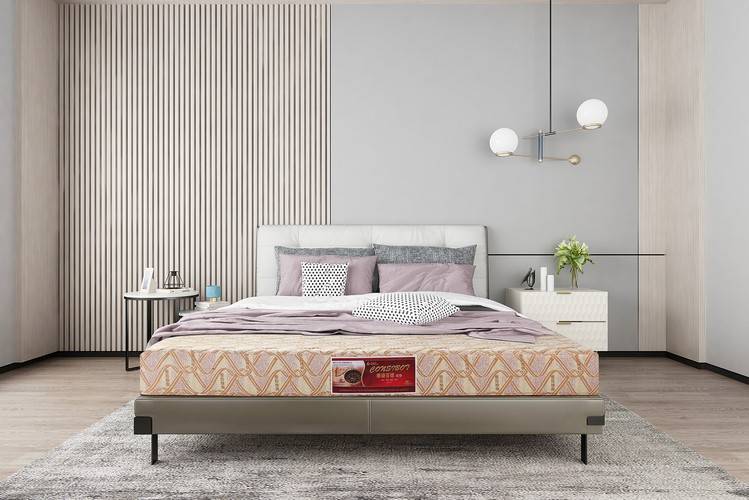 康姿百德典雅款磁性床垫:优质睡眠与安全的融合(图1) 康姿百德典雅款磁性床垫:优质睡眠与安全的融合(图1)