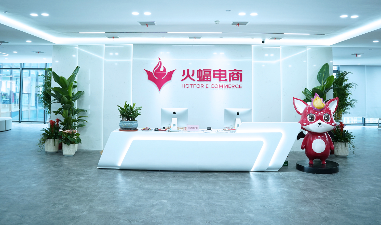 进军TikTok，火蝠电商以全球化视野推动跨境电商战略布局升级